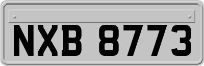 NXB8773