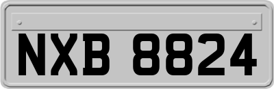 NXB8824