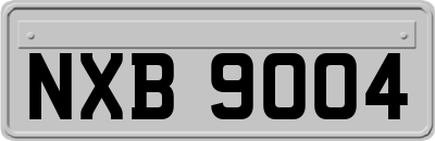 NXB9004