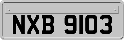 NXB9103