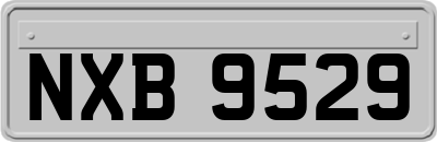 NXB9529