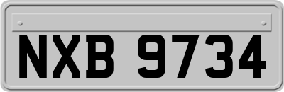 NXB9734