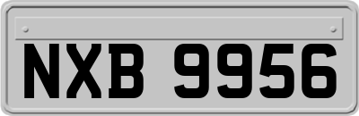 NXB9956