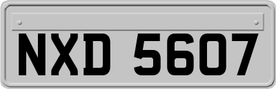 NXD5607