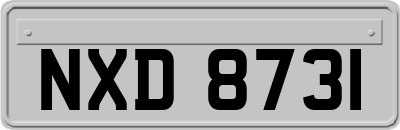 NXD8731