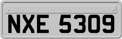 NXE5309