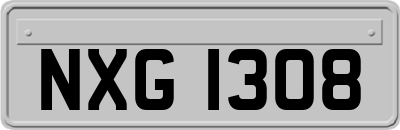 NXG1308