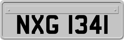 NXG1341