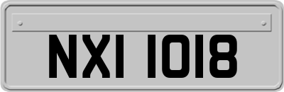 NXI1018