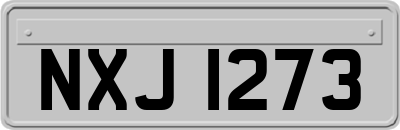NXJ1273
