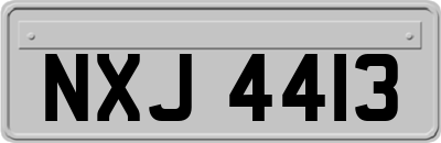 NXJ4413