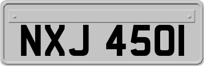 NXJ4501