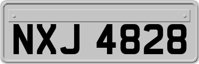 NXJ4828