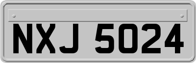 NXJ5024