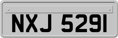 NXJ5291