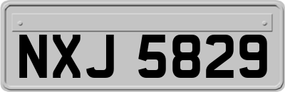 NXJ5829