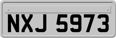 NXJ5973