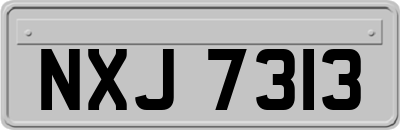 NXJ7313