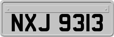 NXJ9313