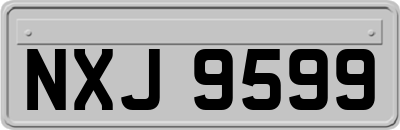 NXJ9599