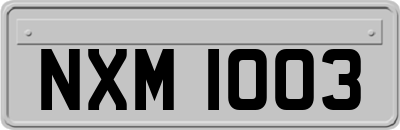 NXM1003