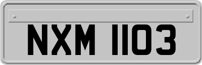 NXM1103