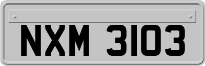 NXM3103