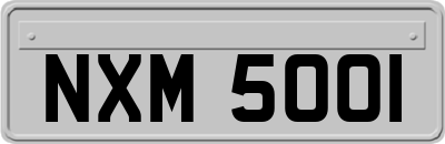 NXM5001