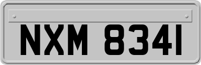 NXM8341