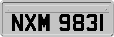 NXM9831