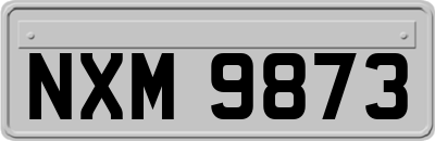 NXM9873