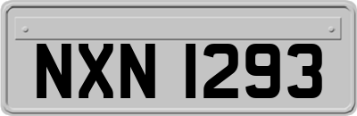 NXN1293