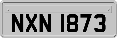 NXN1873