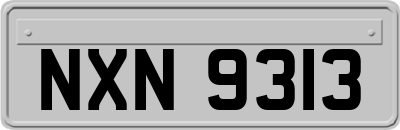 NXN9313