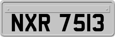 NXR7513