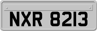 NXR8213