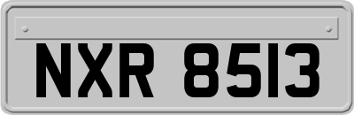 NXR8513