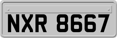 NXR8667