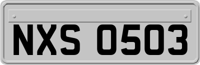 NXS0503