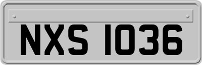 NXS1036