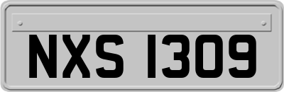 NXS1309