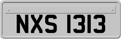 NXS1313