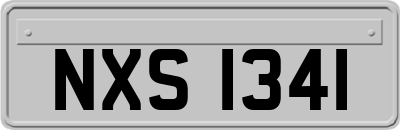 NXS1341