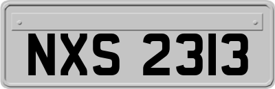 NXS2313