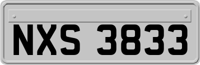 NXS3833