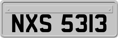 NXS5313