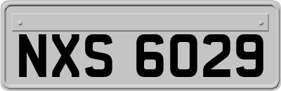 NXS6029