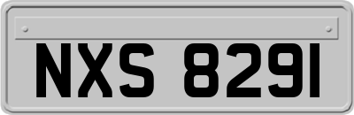 NXS8291