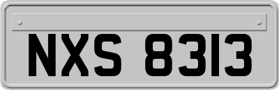 NXS8313