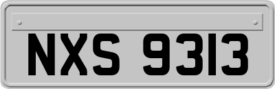 NXS9313